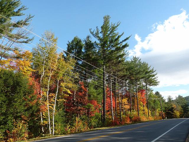 (10) Spectacular colour beside the road.JPG